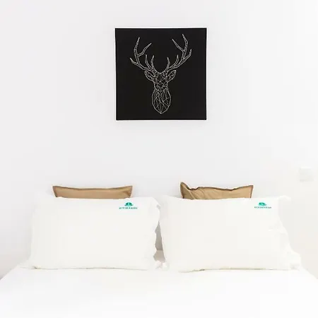 The Trendy Appartement