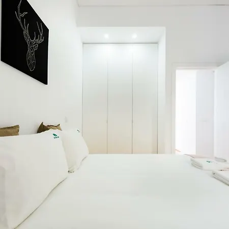 The Trendy Apartment *